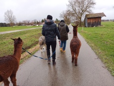 Vorschaubild IMG_20240324_113409_651.jpg 