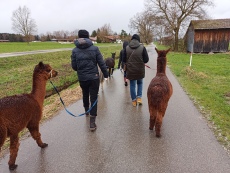 Vorschaubild IMG_20240324_113414_847.jpg 