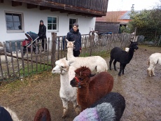 Vorschaubild IMG_20240324_114959_985.jpg 