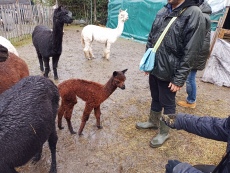 Vorschaubild IMG_20240324_115011_152.jpg 