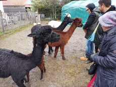 Vorschaubild IMG_20240324_115022_983.jpg 