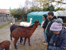 Vorschaubild IMG_20240324_115027_568.jpg 