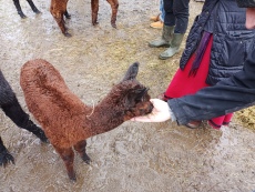 Vorschaubild IMG_20240324_115036_937.jpg 