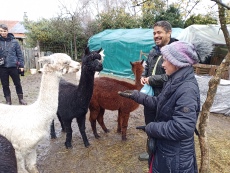 Vorschaubild IMG_20240324_115051_811.jpg 