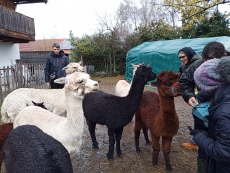 Vorschaubild IMG_20240324_115101_593.jpg 