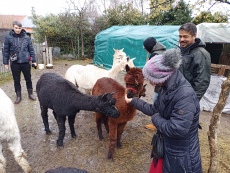 Vorschaubild IMG_20240324_115118_590.jpg 