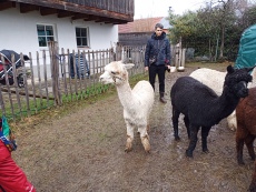 Vorschaubild IMG_20240324_115126_022.jpg 