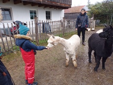 Vorschaubild IMG_20240324_115127_834.jpg 