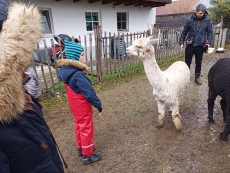 Vorschaubild IMG_20240324_115130_737.jpg 