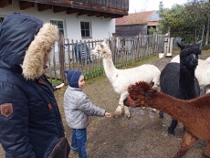 Vorschaubild IMG_20240324_115146_149.jpg 