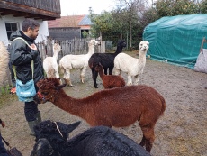 Vorschaubild IMG_20240324_115229_751.jpg 