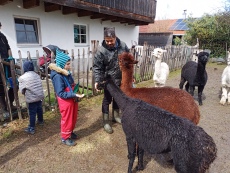 Vorschaubild IMG_20240324_115303_694.jpg 