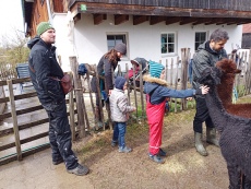 Vorschaubild IMG_20240324_115310_068.jpg 