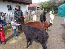 Vorschaubild IMG_20240324_115313_660.jpg 