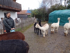 Vorschaubild IMG_20240324_115346_411.jpg 