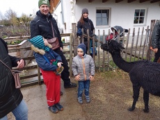 Vorschaubild IMG_20240324_115351_578.jpg 