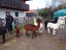 Vorschaubild IMG_20240324_115605_648.jpg 