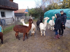 Vorschaubild IMG_20240324_115620_443.jpg 