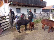 Vorschaubild IMG_20240324_115622_739.jpg 