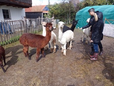 Vorschaubild IMG_20240324_115628_901.jpg 