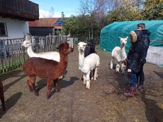 Vorschaubild IMG_20240324_115639_469.jpg 