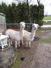 Vorschaubild IMG_20240324_115936_947.jpg 