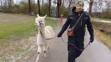 Video öffnen ( 68 MB ) 