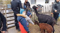 Video öffnen ( 318 MB ) 